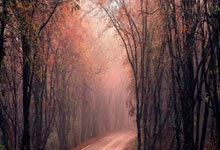 28圈:电讯报:英超俱乐部周四将召开会议,讨论8月14日关闭夏窗.