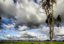 天津宁河以赛营城 全年推出158场体育赛事2025-01-05.