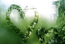 28圈:携手前行 共赴未来光明日报.