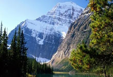 记者:阿方索伤退后右膝敷着冰袋,球员自称情况良好.